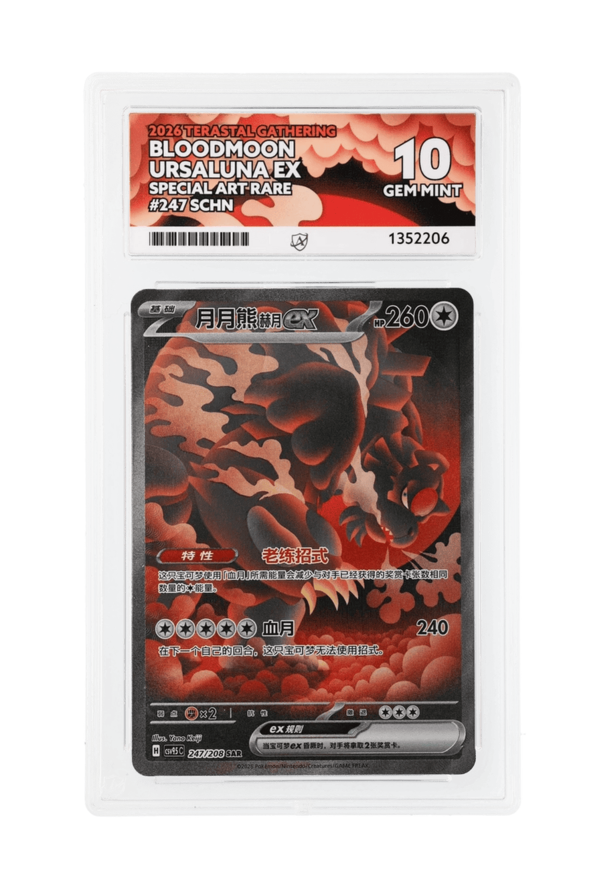 BuyGradedCards BLOODMOON URSALUNA EX SAR 247/208 ACE GEM MINT 10 - Terastal Gathering 2026 (SCHN)
